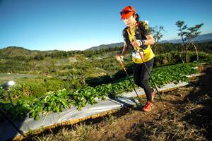 BIB: 
                            <button type="button" onclick="openModal(19111742)" class="btn btn-primary btn-sm float-right btn-popup" data-toggle="modal" data-target=".modal-high-quality">
                        <i class="fas fa-shopping-cart"></i> Add to Cart
                    </button>
                                            <button type="button" onclick="isThisMe(19111742, true)" class="btn btn-success btn-sm float-right btn-popup btn-isme hidden" data-toggle="tooltip" data-placement="bottom" title="นี่คือรูปของคุณใช่ไหม คลิกที่นี่เพื่อเอาเข้าอัลบั้ม">
                        <i class="fas fa-plus"></i> Add to album
                    </button>
                    <button type="button" onclick="isThisMe(19111742, false)" class="btn btn-warning btn-sm float-right btn-popup btn-isnotme hidden">
                        <i class="fas fa-ban"></i> Remove from album
                    </button>